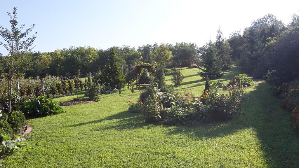 Bundi Vendeghaz Hotel Kehidakustány Exterior foto